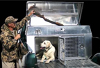 Kennel Boxes for Dogs, Cats, Animals by Highway Products